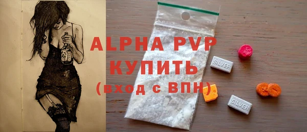 дмт Бородино