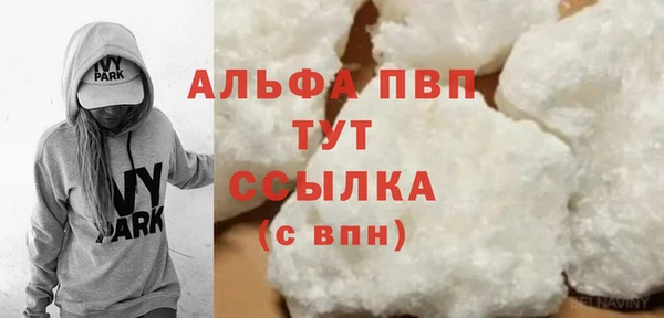 дмт Бородино