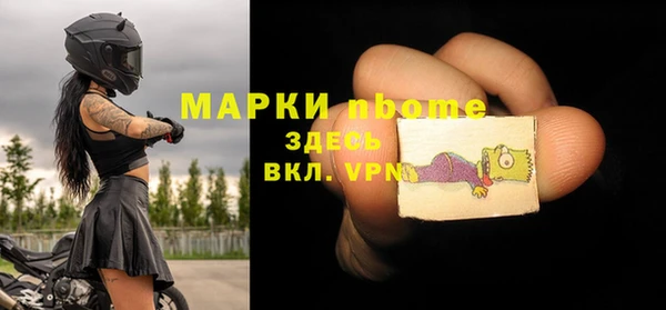 прущие грибы Верея