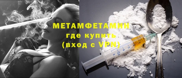 прущие грибы Верея