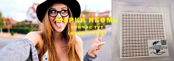дмт Бородино