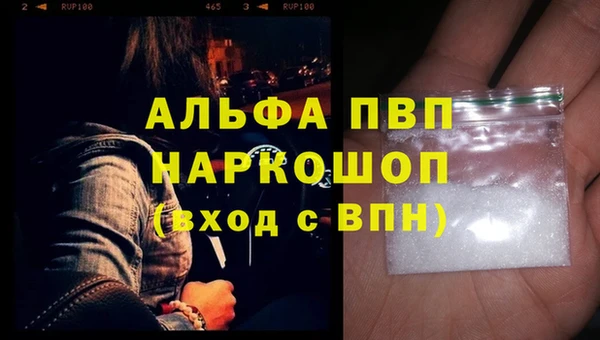 дмт Бородино