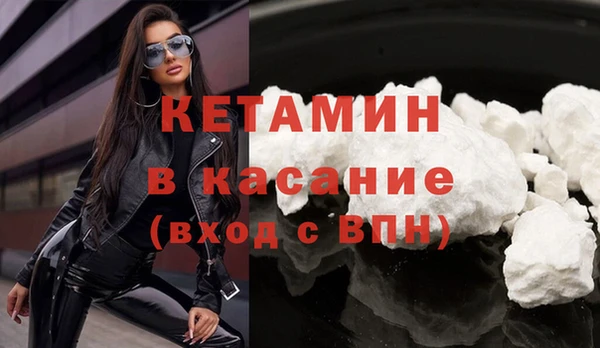 прущие грибы Верея