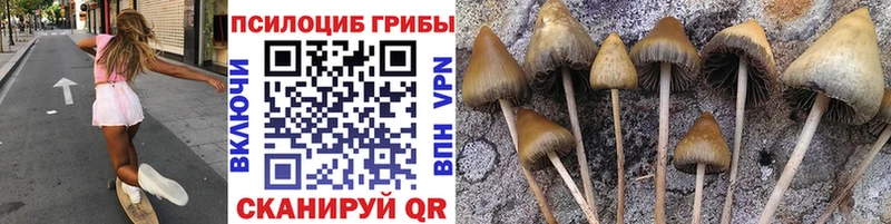 Купить закладки  Красавино  Галлюциногенные грибы прущие грибы 